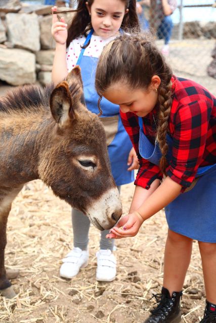 Agüimes: Be a Farmer for the Day at La Jaira De Ana - Farm Features