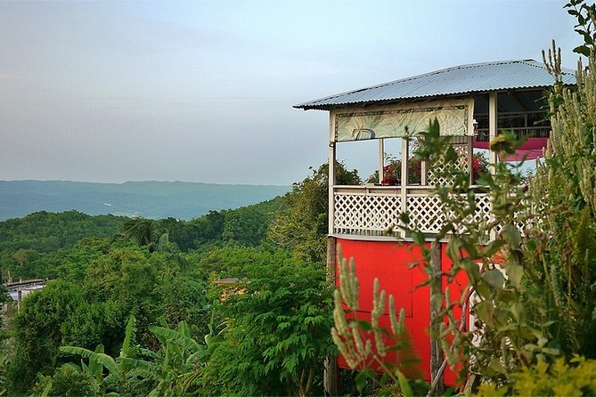 Ahhh Ras Natango Gallery and Garden Private Transfer - Tranquil Garden Experience