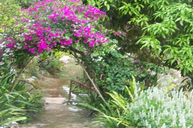 Ahhh Ras Natango Gallery and Garden Private Transfer - Curators Vision