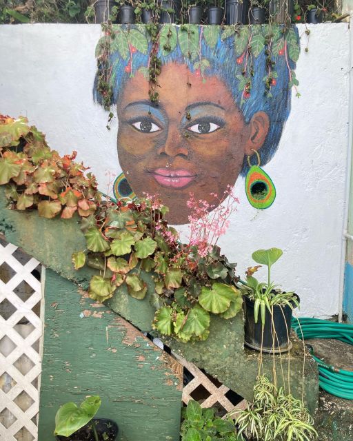 Ahhh Ras Natango Gallery and Garden With Transportation - Tour Experience