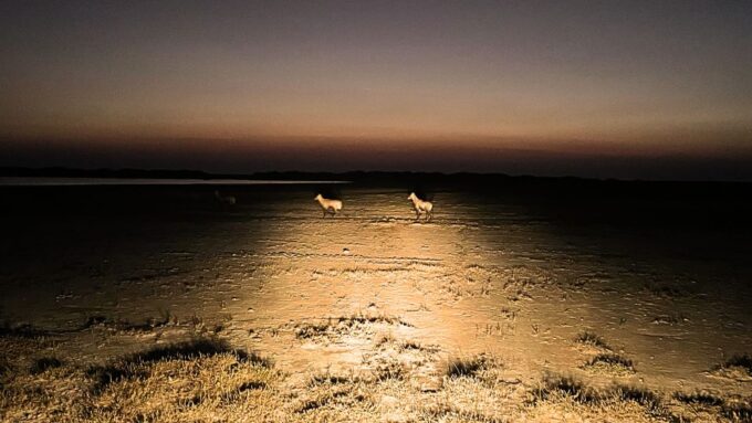 Ahmedabad: 3-Day Little Rann of Kutch Private Wildlife Tour - Salt Marshes and Local Production