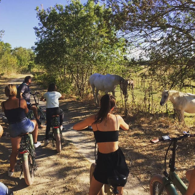Aigues Mortes: Bike Safari - Ebike Tour in Camargue - Key Points