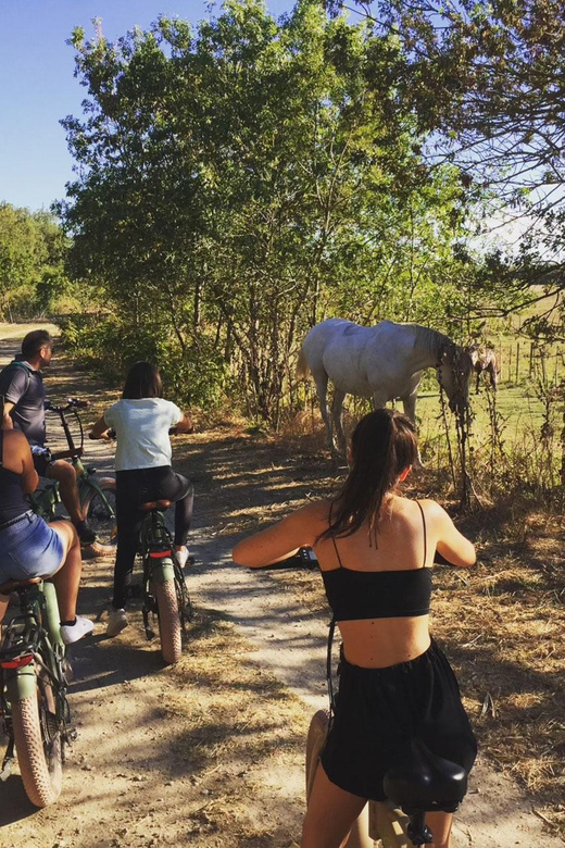 Aigues Mortes: Bike Safari - Ebike Tour in Camargue - Activity Highlights