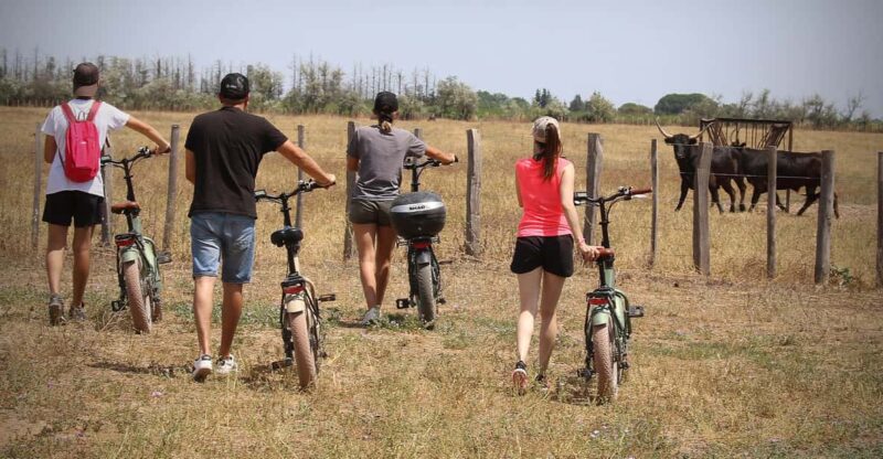 Aigues Mortes: Bike Safari - Ebike Tour in Camargue - Duration and Group Size