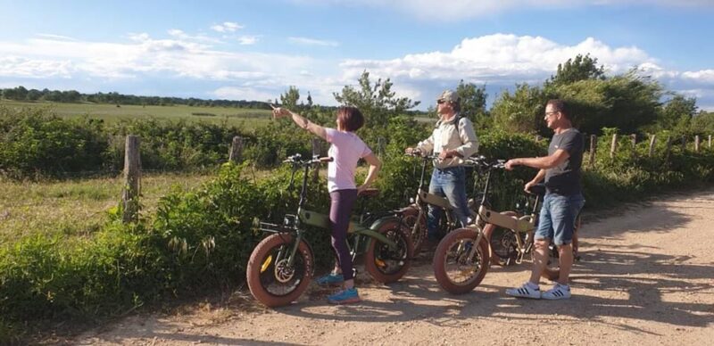 Aigues Mortes: Bike Safari - Ebike Tour in Camargue - Languages and Pricing