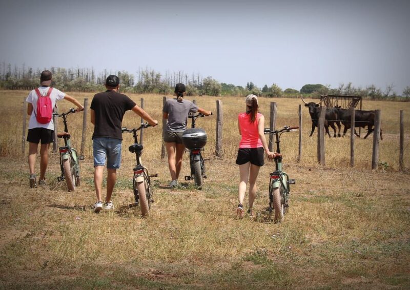 Aigues Mortes: Bike Safari - Ebike Tour in Camargue - Cancellation and Booking