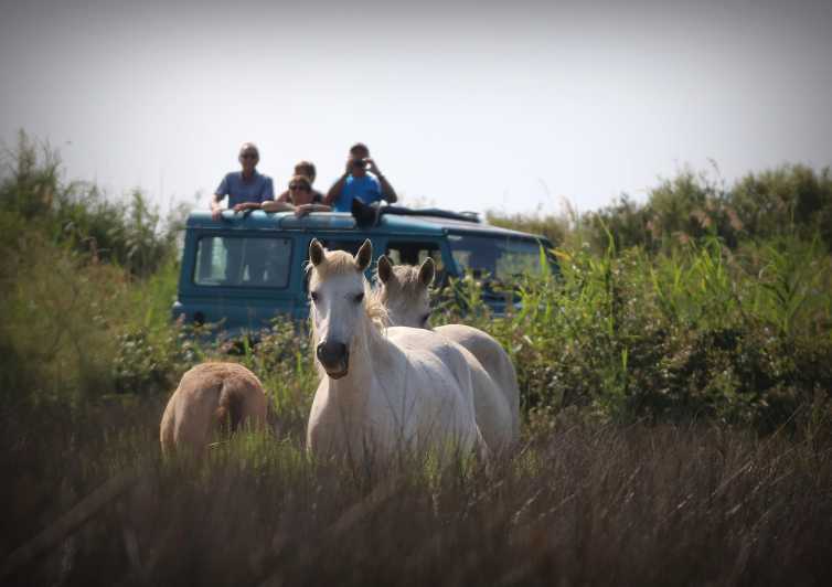 Aigues Mortes: PRIVATE Jeep Photo Safari in Camargue - Key Points