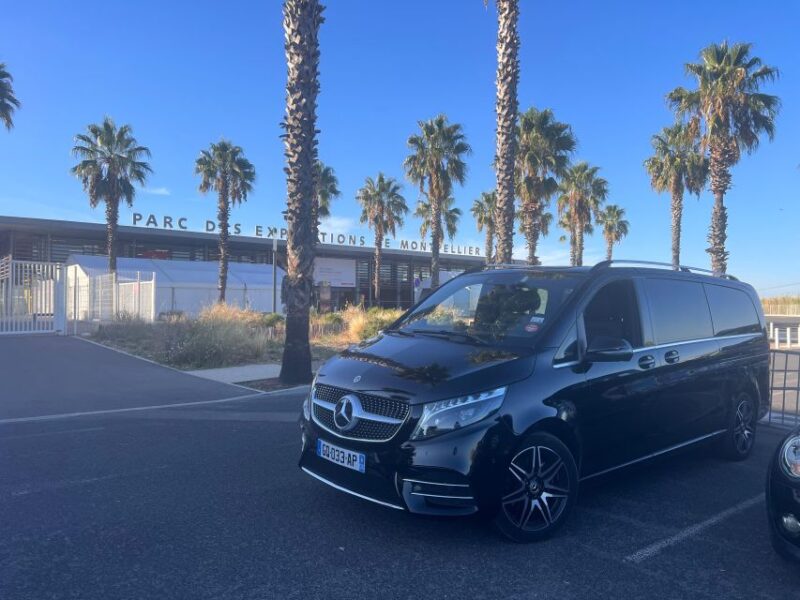 Aigues-Mortes: Private Transfer to Port Camargue - Key Points