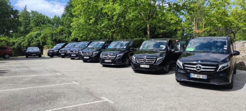 Aigues-Mortes: Private Transfer to Port Camargue - Driver Qualifications