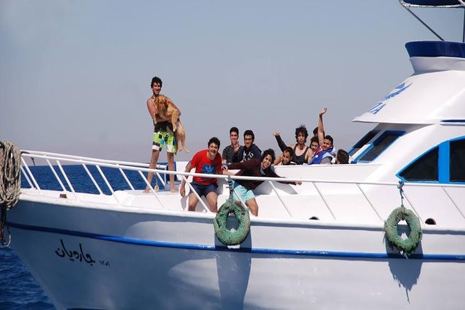 Ain Sokhna Red Sea Day Use Yacht From Cairo - Accessibility and Participation