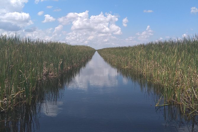 Air Boat Tour of Palm Beach in The Swamp Monster - Meet at Loxahatchee Road Location