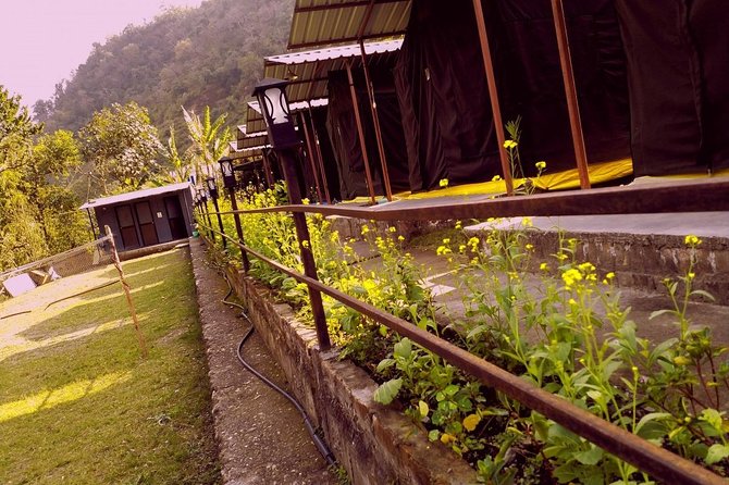Air-Cooled Camp and Rafting in Rishikesh (2n3d) - Accommodation and Amenities