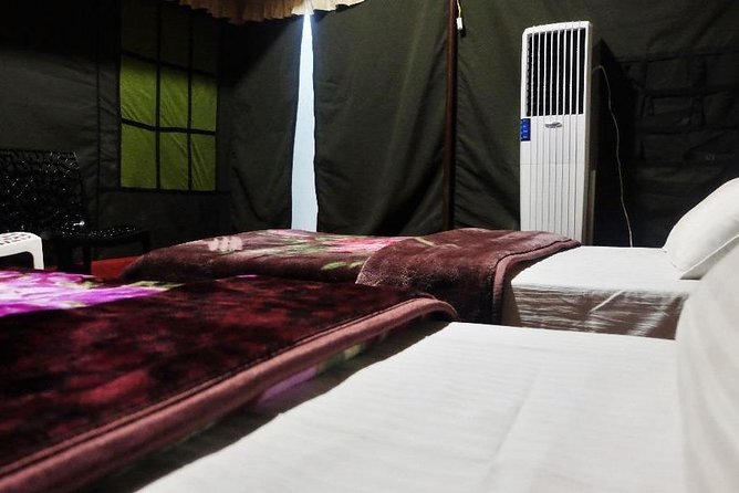 Air-Cooled Camp and Rafting in Rishikesh (2n3d) - Adventure Activities