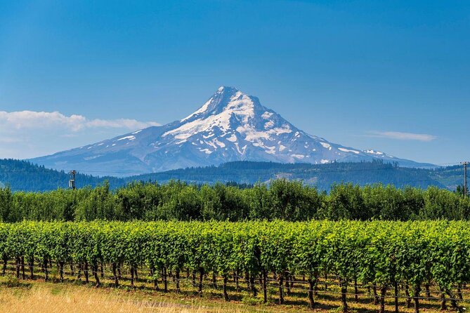 Air Tour of Mount Hood and Columbia River Gorge - Meeting Point and Location