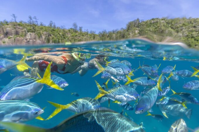 Airlie Beach: Adults-Only Whitehaven Beach Sailing Tour - Booking and Cancellation Policy