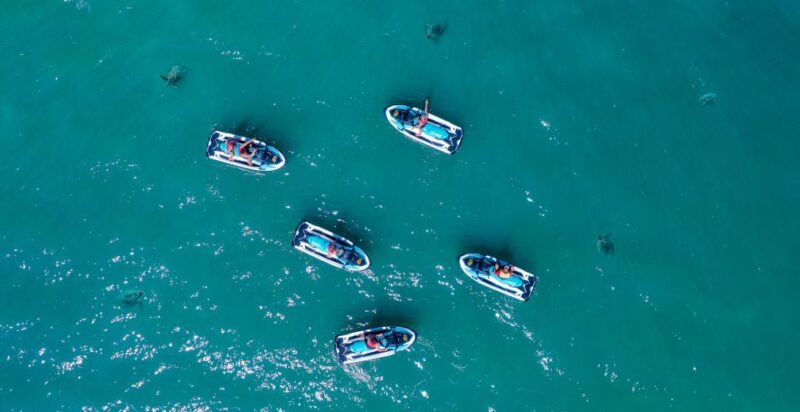 Airlie Beach: Airlie Adventure Jet Ski Tour - Key Points