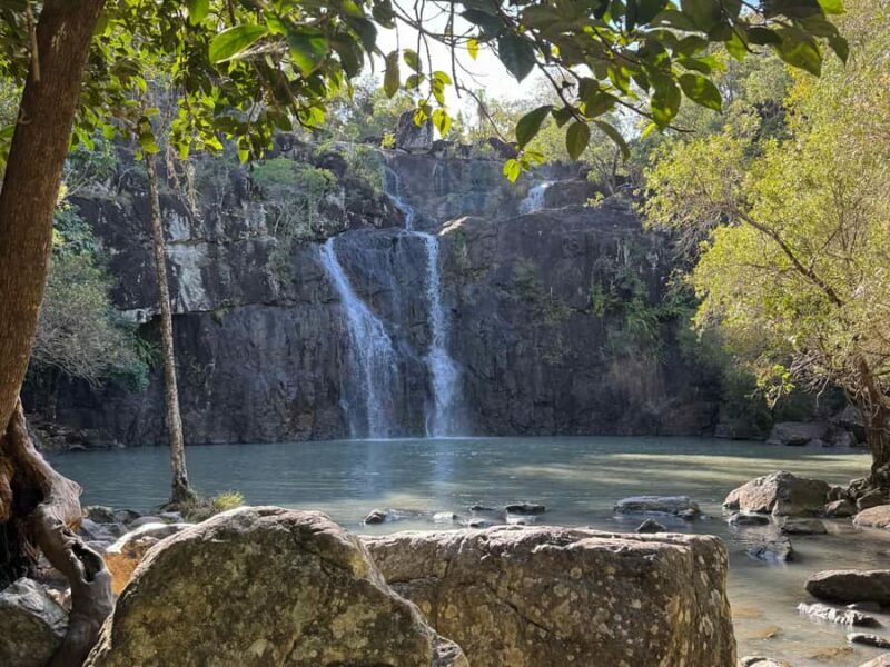 Airlie Beach: Cedar Creek Express Eco Tour - An Honest Look at the Cedar Creek Eco Tour