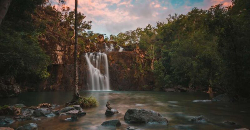 Airlie Beach: Cedar Creek Falls & Northerlies Beach Day Trip - Itinerary Highlights