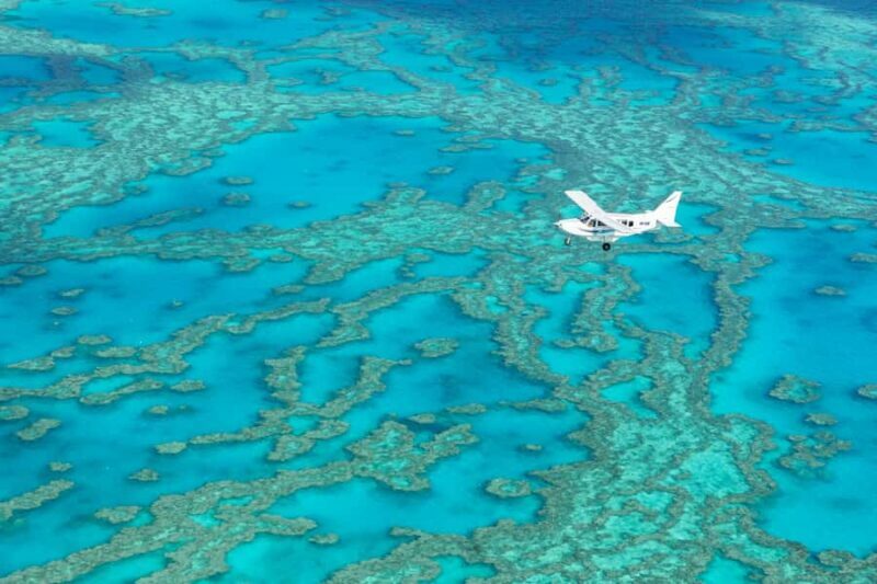 Airlie Beach: Fly Raft Package w Scenic Flight & Snorkeling - A Full-Day Adventure in the Whitsundays