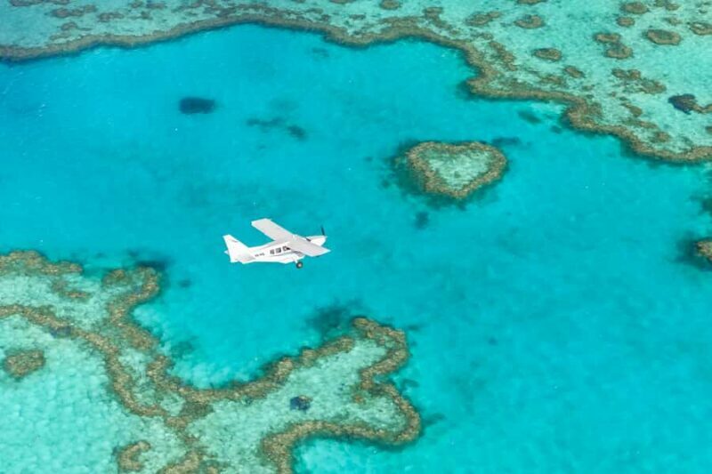 Airlie Beach: Fly Raft Package w Scenic Flight & Snorkeling - What the Reviews Say