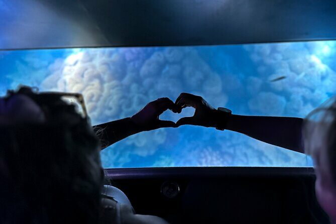 Airlie Beach Glass Bottom Boat Guided Night Tour - Key Points