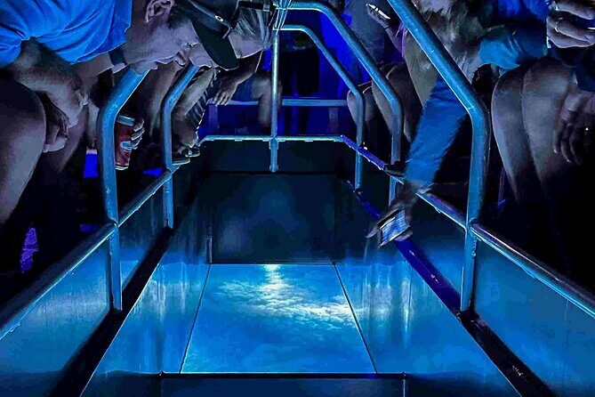 Airlie Beach Glass Bottom Boat Guided Night Tour - A Deep Dive into the Experience