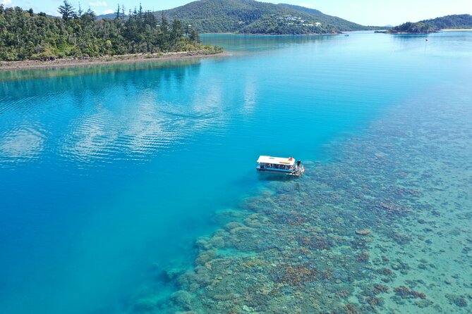 Airlie Beach Glass Bottom Boat Tour - Inclusions and Amenities
