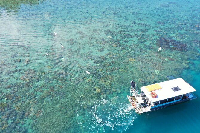 Airlie Beach Glass Bottom Boat Tour - Customer Feedback and Reviews