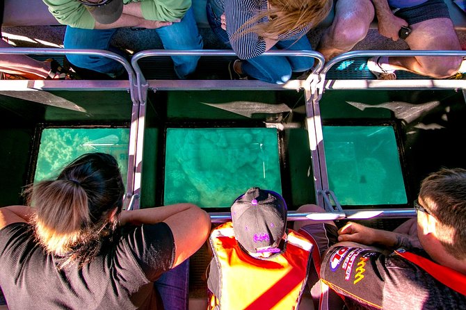 Airlie Beach Glass Bottom Boat Tour - Suitability for All Ages