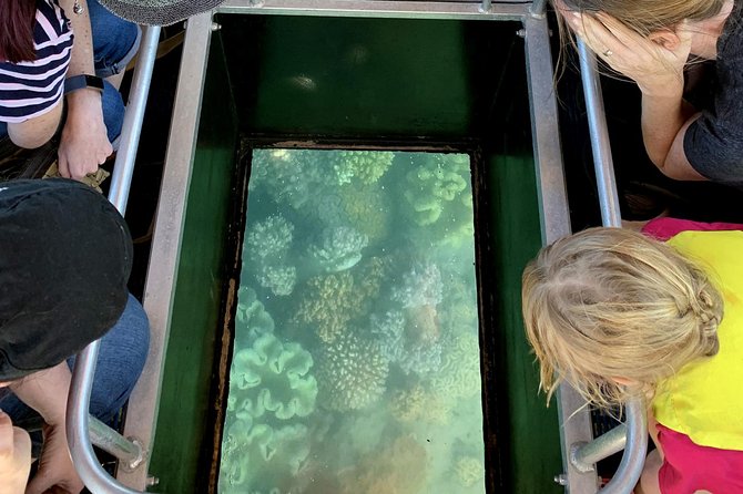 Airlie Beach Glass Bottom Boat Tour - Marine Ecosystem Exploration