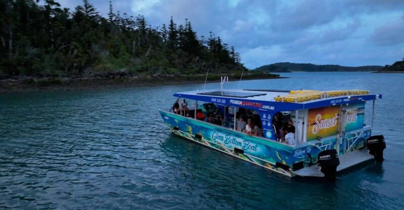 Airlie Beach: Glass-Bottom Boat Tour - Key Points