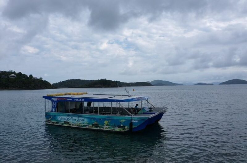 Airlie Beach: Glass-Bottom Boat Tour - Tour Experience
