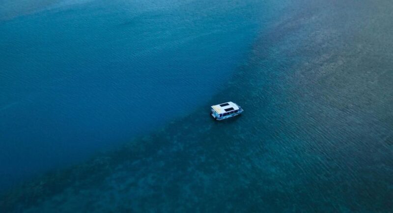 Airlie Beach: Glass-Bottom Boat Tour - Marine Life and Biodiversity
