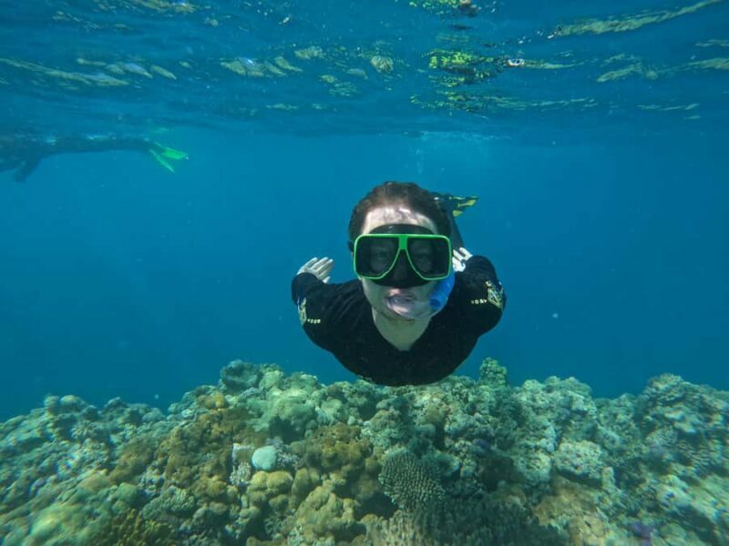 Airlie Beach: Great Barrier Reef & Whitehaven Beach Tour - Who Should Consider This Tour?