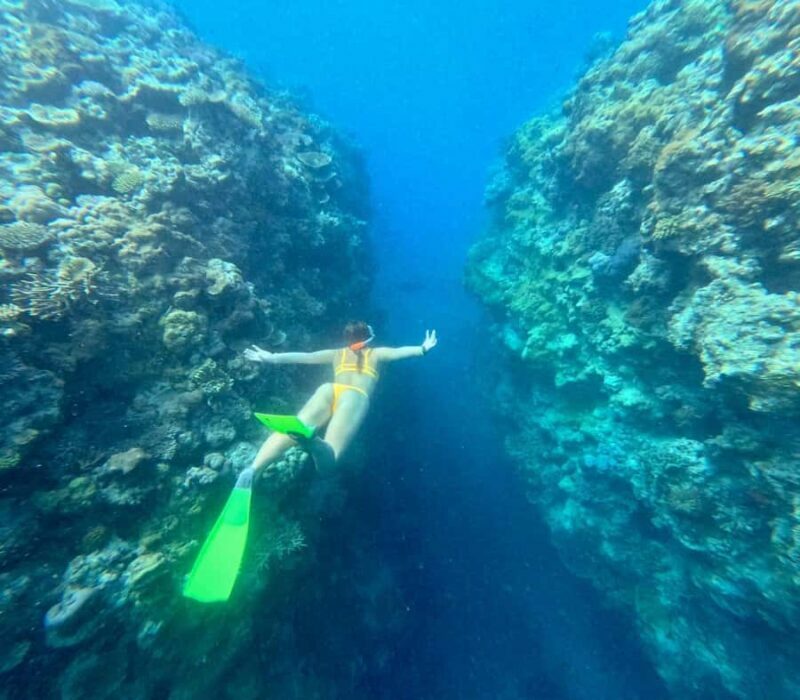 Airlie Beach: Great Barrier Reef & Whitehaven Beach Tour - Final Verdict