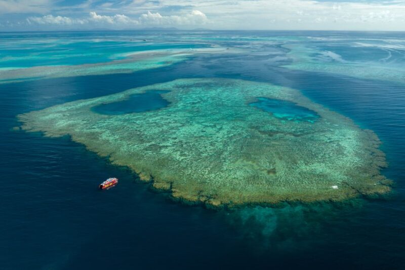 Airlie Beach: Outer Barrier Reef Snorkeling Day Trip - Included Services