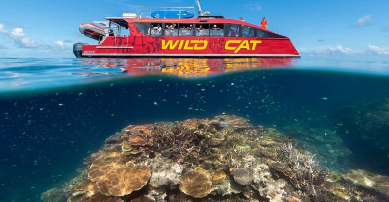 Airlie Beach: Outer Barrier Reef Snorkeling Day Trip - Key Highlights