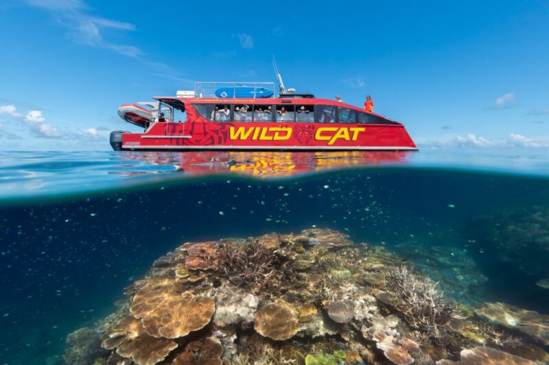 Airlie Beach: Outer Barrier Reef Snorkeling Day Trip - Meeting Point