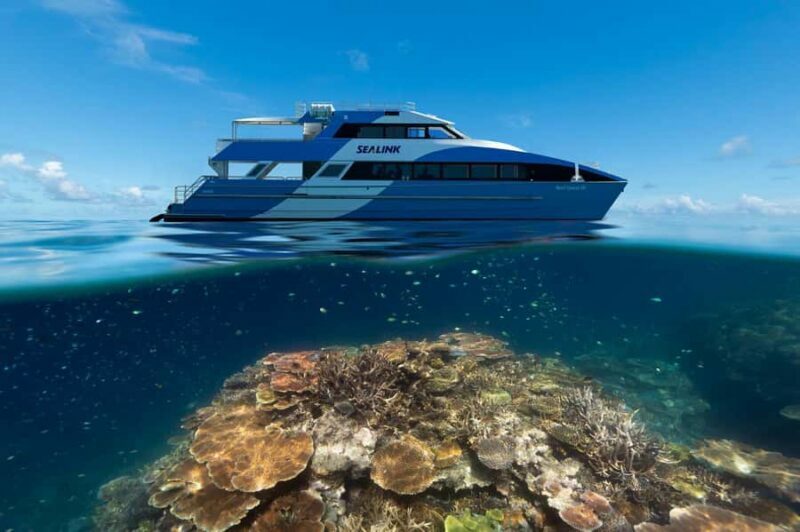 Airlie Beach: Outer Great Barrier Reef Snorkeling Day Trip - Key Points