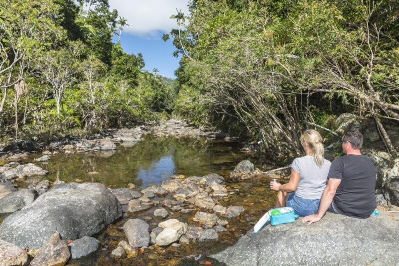 Airlie Beach: Segway Rainforest Discovery Tour - Key Points