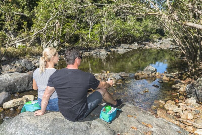 Airlie Beach: Segway Rainforest Discovery Tour - Guided Tour Through Rainforest