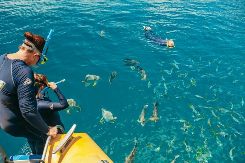Airlie Beach: Snorkel, Hill Inlet Lookout & Whitehaven Beach - Frequently Asked Questions (FAQs)