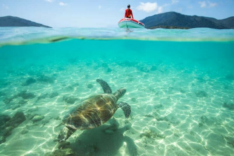 Airlie Beach: Whitehaven Full-Day Eco-Cruise with Buffet - Introduction: Why This Tour Stands Out