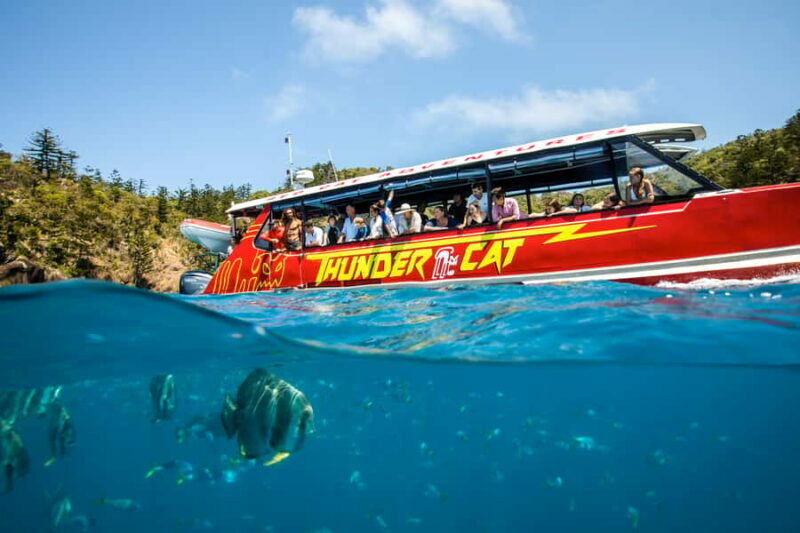 Airlie Beach: Whitehaven Full-Day Eco-Cruise with Buffet - Final Thoughts