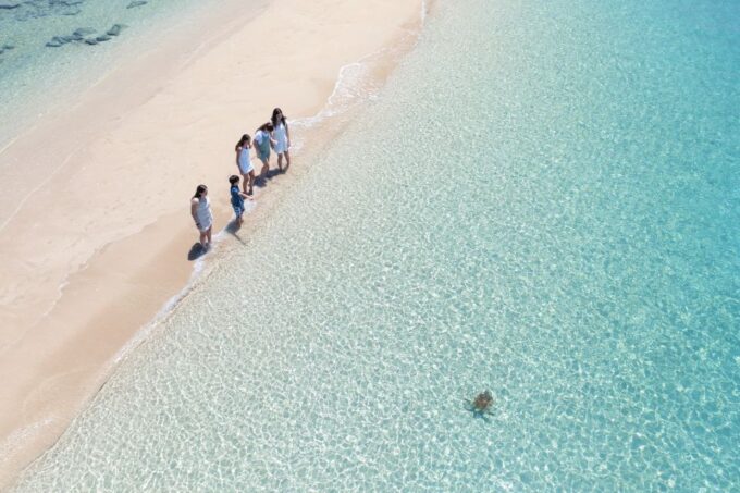 Airlie Beach: Whitehaven Full-Day Eco-Cruise With Buffet - Important Considerations