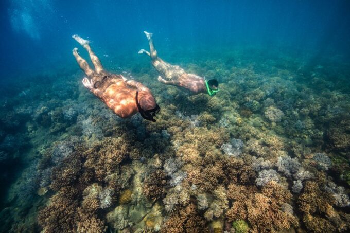 Airlie Beach: Whitehaven Full-Day Eco-Cruise With Buffet - Frequently Asked Questions