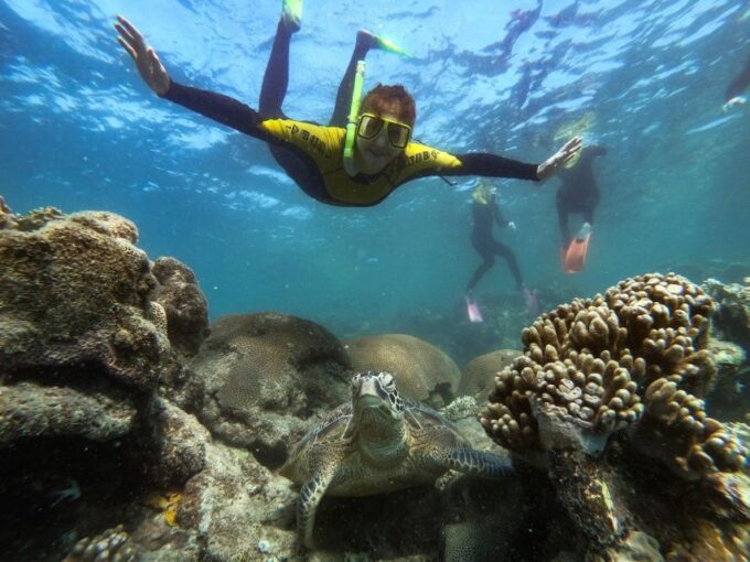 Airlie Beach: Whitsunday Island Sail, SUP & Snorkel Day Tour - What to Expect