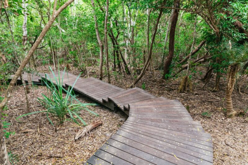 Airlie Beach: Whitsundays Full-Day Camira Sailing Adventure - Meeting Point and Check-in Details