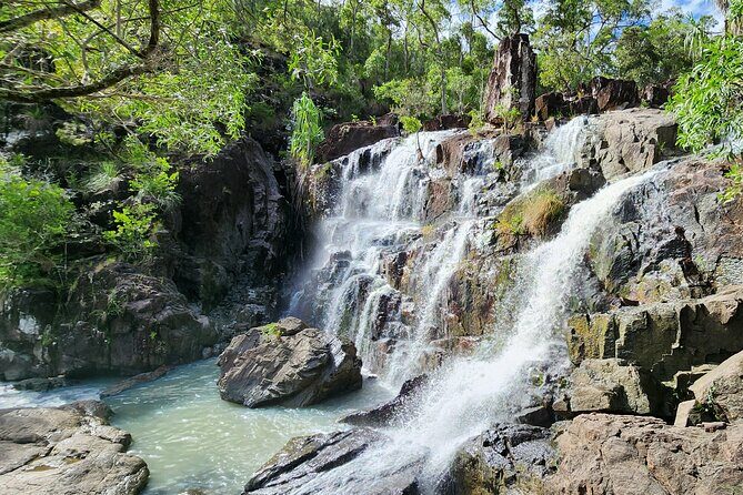 Airlie Waterfalls & Rainforest Bushwalk Eco Adventure - Authentic Reviews: What Visitors Say