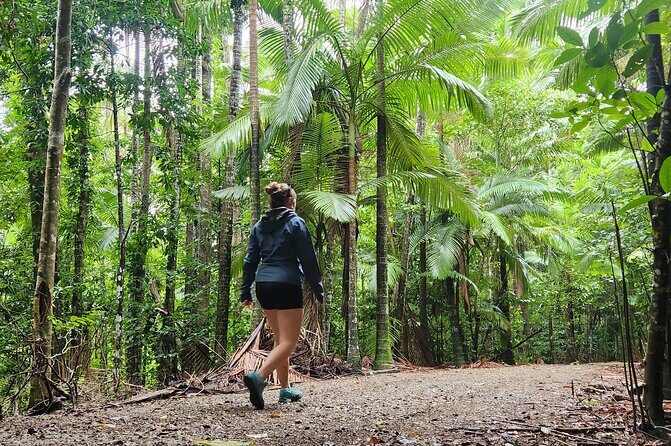 Airlie Waterfalls & Rainforest Bushwalk Eco Adventure - Who Will Love This Tour?